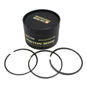 1540030011 Piston Segmanı